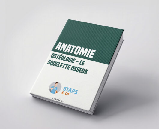 Ostéologie - Le squelette osseux