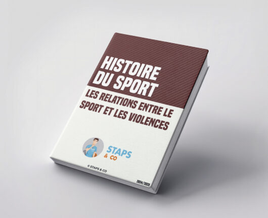 Les relations entre le sport et les violences