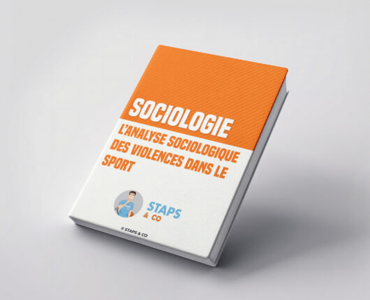 L'analyse sociologique des violences dans le sport