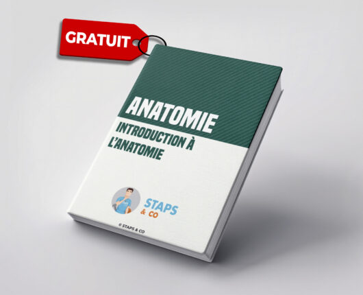 Introduction à l'anatomie