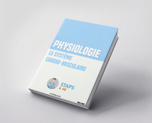 Le système cardio-vasculaire