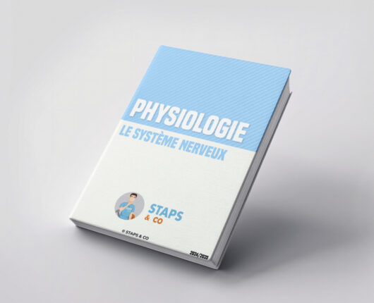 Le système nerveux