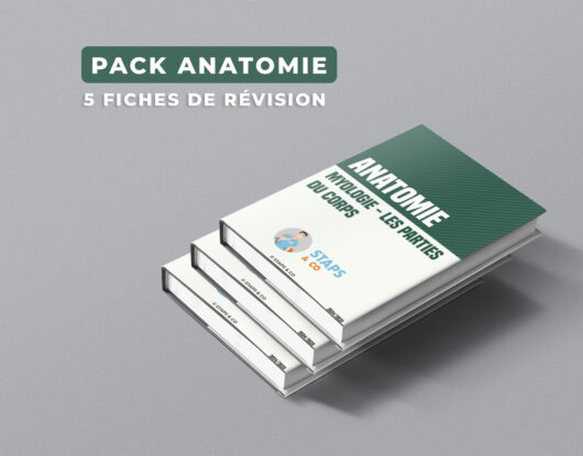 Pack Anatomie